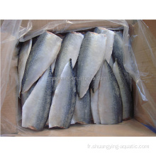 Nouvelle saison gelée des filets de poisson de maquereau du Pacifique congelé